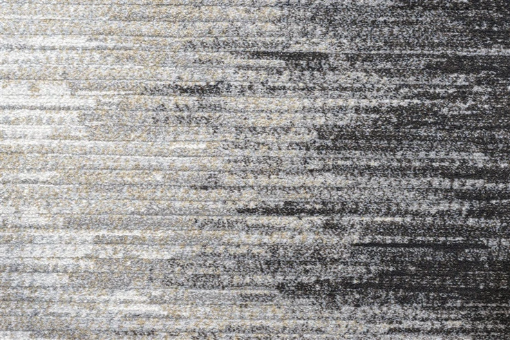 Kilimas vidaus Domoletti Argentum juoda/pilka 230 x 160 cm