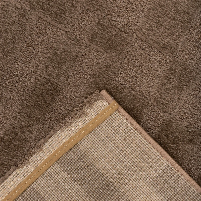 Kilimas vidaus Domoletti ELIO 2418_480. ruda. 200 x 140 cm