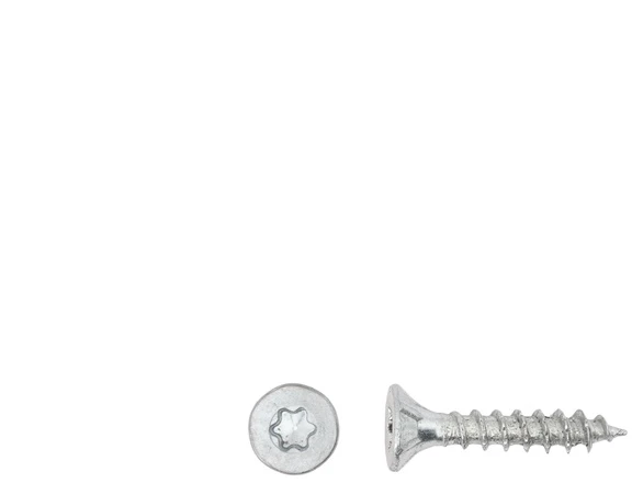 Forte_Tools Medsraigčiai FORTE TOOLS, 3×20 mm, ZN, TX10, 25 vnt.