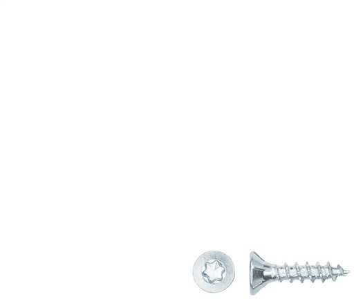 Forte_Tools Medsraigčiai FORTE TOOLS, 3,5×16 mm, ZN, TX15, 25 vnt.
