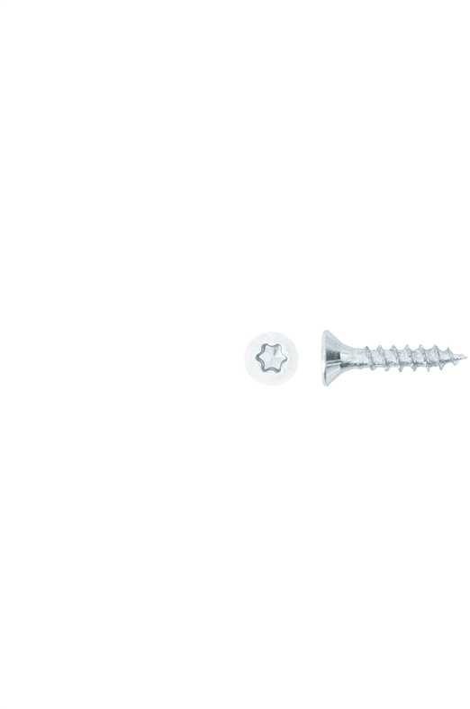 Forte_Tools Medsraigčiai FORTE TOOLS, 4×20 mm, ZN, TX20, 25 vnt.