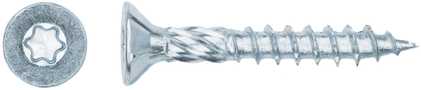 Forte_Tools Įrankiai FORTE TOOLS, 4,5×30 mm, ZN, TX20, 200 vnt.