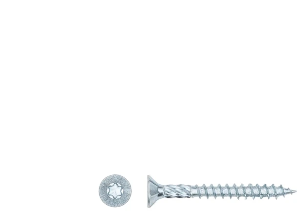 Forte_Tools Medsraigčiai FORTE TOOLS, 4,5×40 mm, ZN, TX20, 20 vnt.