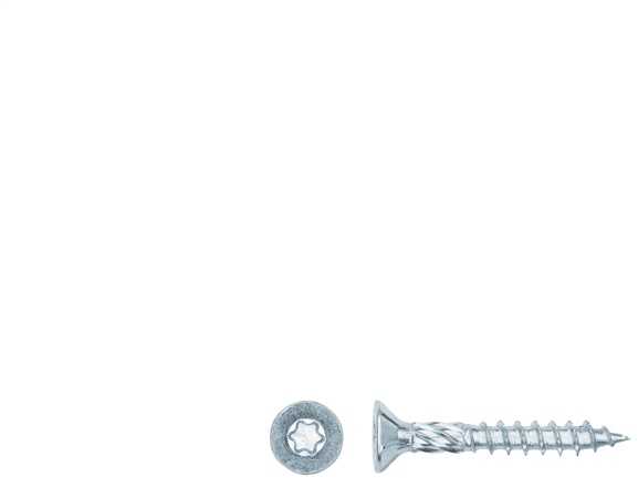 Forte_Tools Įrankiai FORTE TOOLS, 4,5×30 mm, ZN, TX20, 200 vnt.