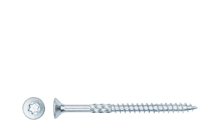 Forte_Tools Medraigčiai FORTE TOOLS, 6×80/48 mm, ZN, TX30, 100 vnt.