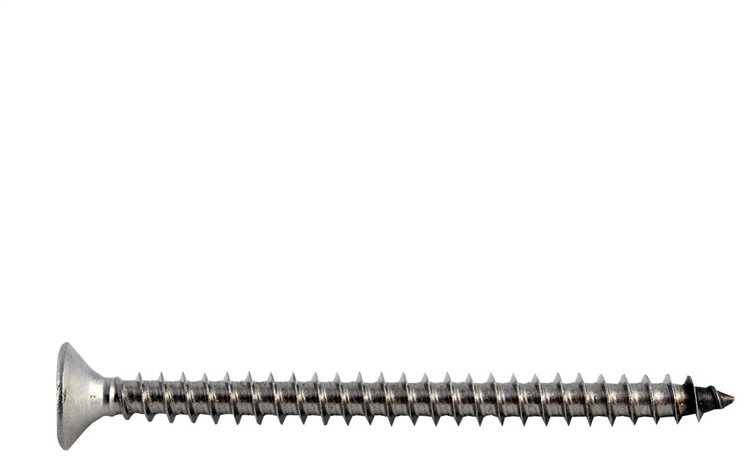 Medsraigtis, universalieji Haushalt Torx, 4 x 35 mm, balta sp., 15 vnt.
