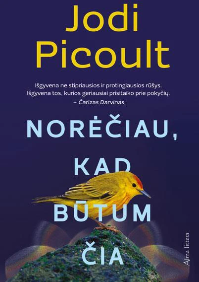 Gruntiniai dažai Jeger ONYKS PRIMER PEARL, perlo sp., 1 l