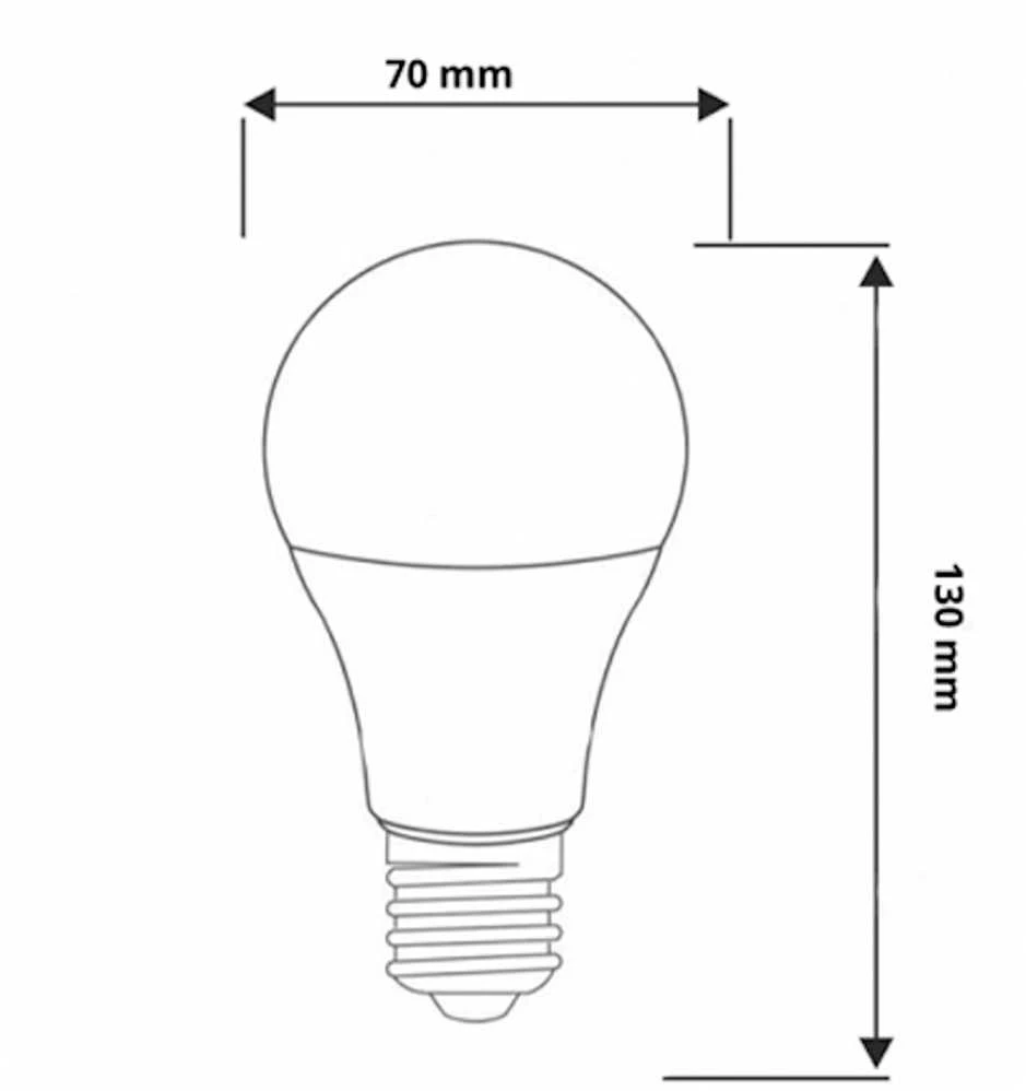 Visional LEMPA LED E27 12W AUGALAMS