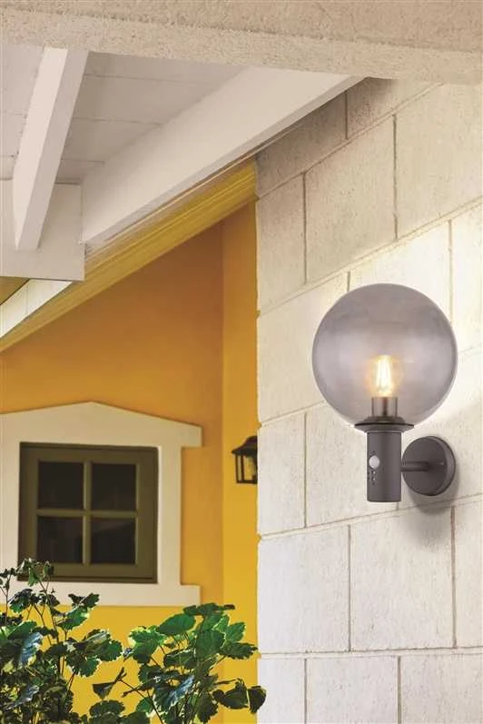Sieninis šviestuvas Kinkiet Domoletti WALL LAMP DH07.071 15W E27 PIR SMOKY