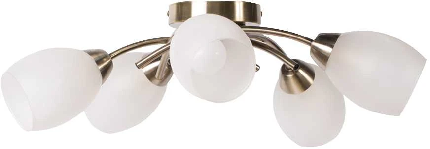 Lubinis šviestuvas Lampa sufitowa Domoletti CEILING LAMP MX60374-5 5X40W E14
