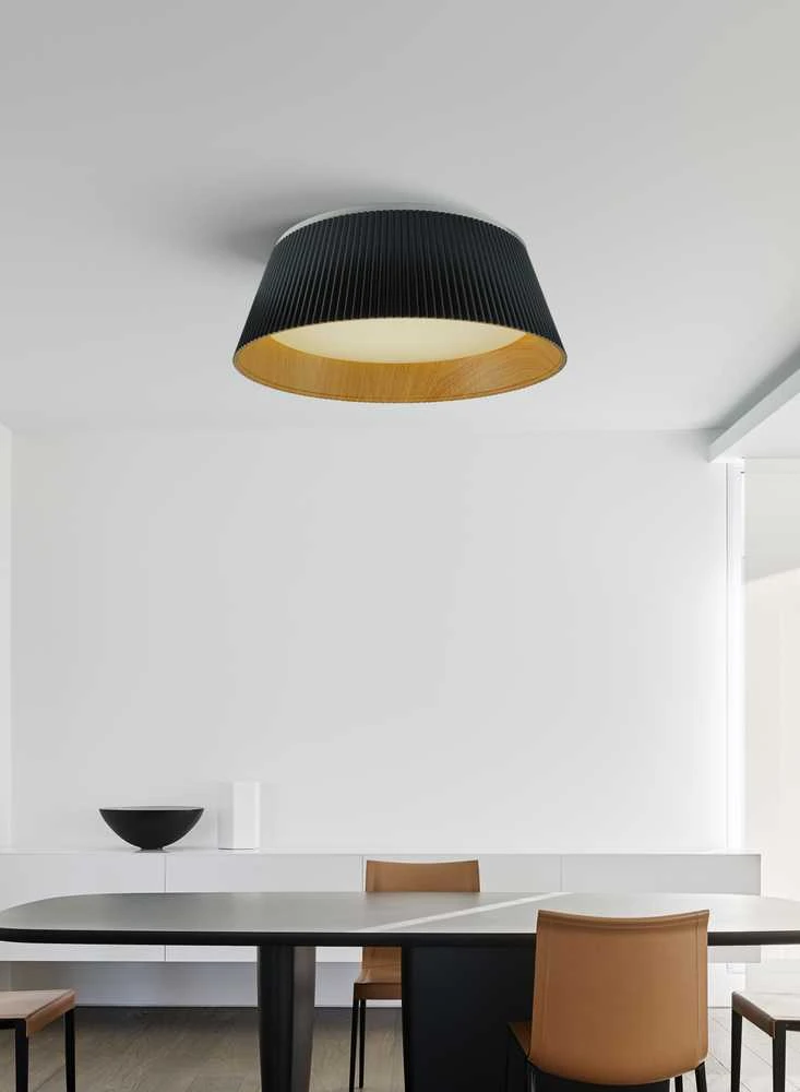 Lubinis šviestuvas Carruzzo Ceiling LED Light TAI D45 4000K Juodas