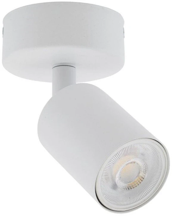 Šviestuvas lubų ir sienų TK Lighting Top, GU10, 1 x 10 W