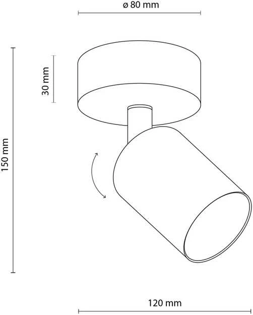 Šviestuvas lubų ir sienų TK Lighting Top 5739, GU10, 1 x 10 W