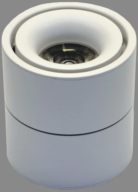 Lubinis šviestuvas TOPE Lubinis baltas LED šviestuvas "OSLO" 10W
