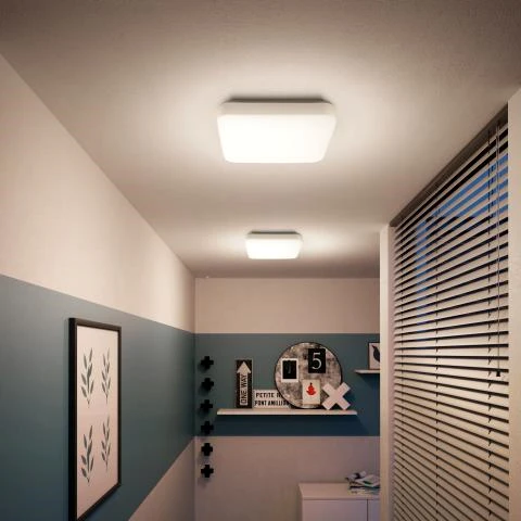 Šviestuvas plafonas Philips Mauve 915004575603, LED, 4000 °K, 1 x 17 W