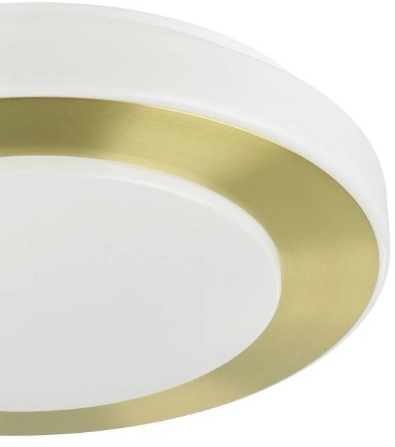 Lubinis šviestuvas Šviestuvas plafonas Eglo CARPI, 10.8 W, LED, 900369