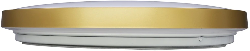 Lubinis šviestuvas Lubinis LED šviestuvas BESK GOLD SLIM, 36W, 3000K, Auksinis kontūras