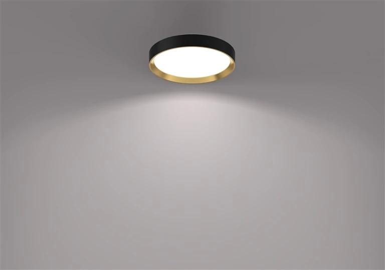 Lubinis šviestuvas Šviestuvas lubų Philips 929004115901, 24 W, LED, 4000 °K