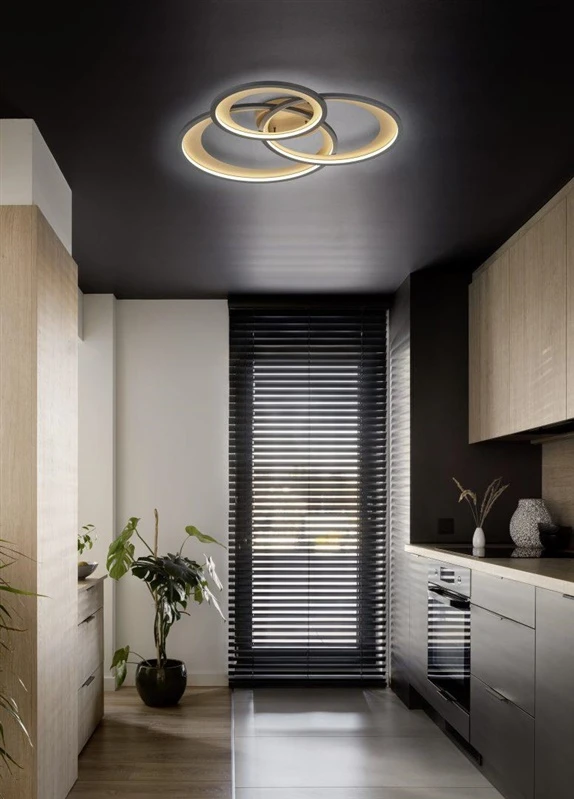 Lubinis šviestuvas CEILING LAMP TRIO GRANADA Matinis Juodas/GOL