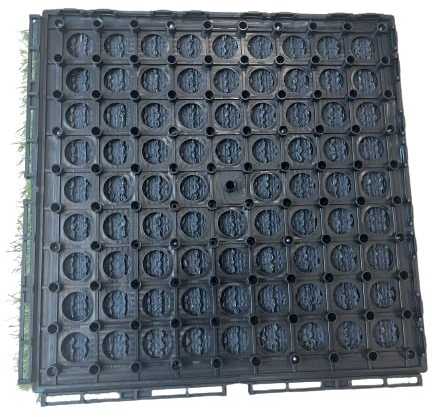 Dirbtinė žolė „Garden Center“, 0,3 m x 0,3 m x 20 mm