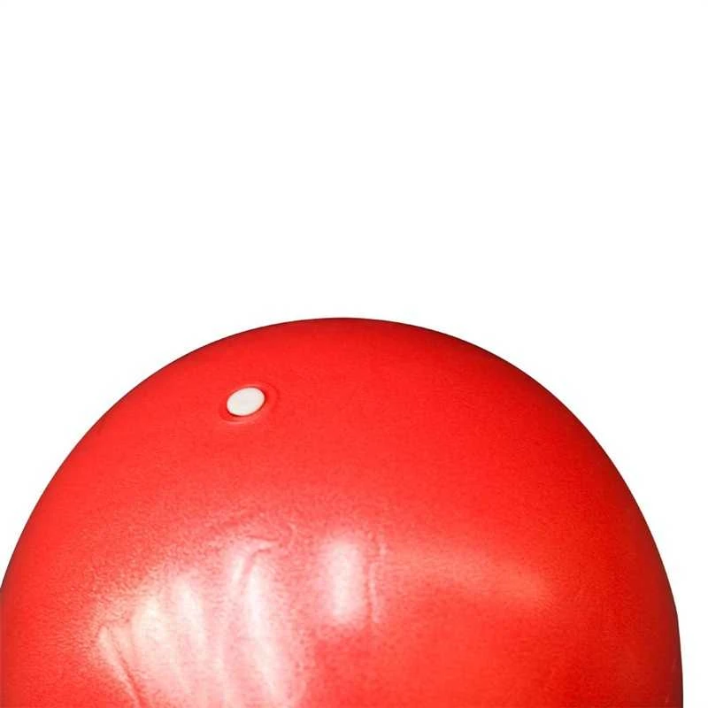Mankštos kamuolys OUTLINER LS3225, Ø25 cm, PVC