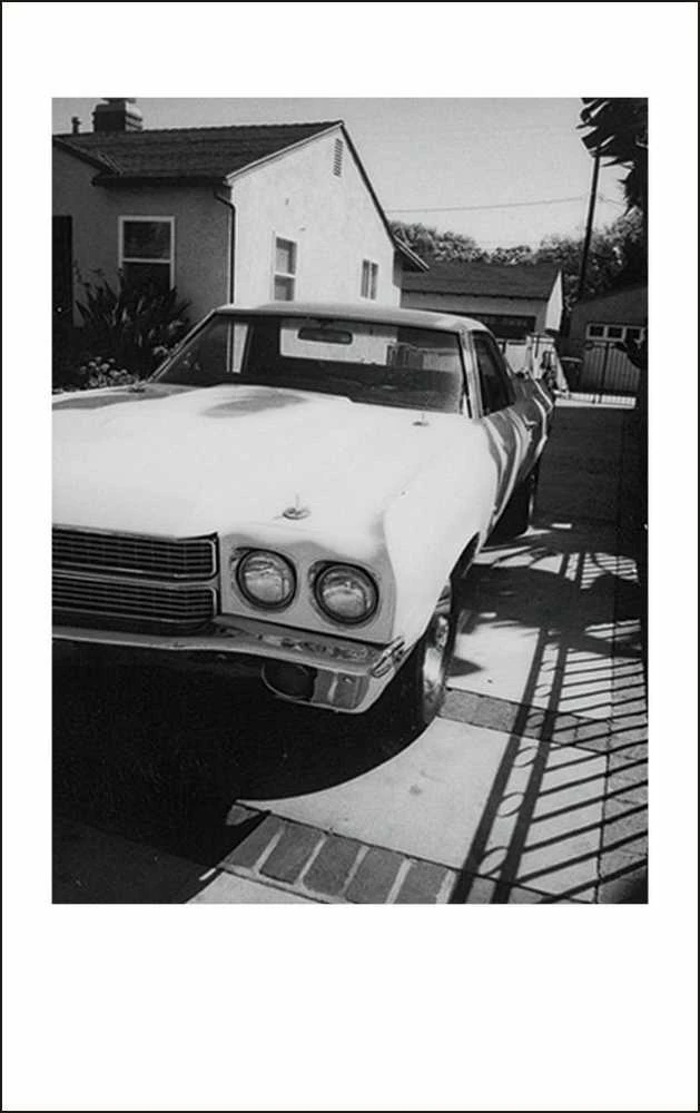 Fotojuostos FUJIFILM INSTAX MINI MONO CHROME