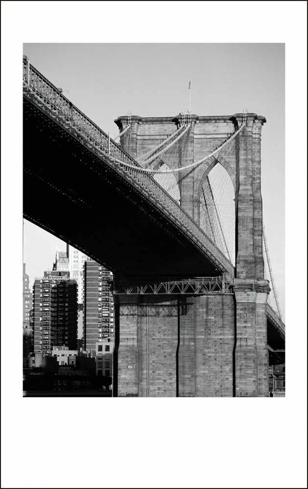 Fotojuostos FUJIFILM INSTAX MINI MONO CHROME