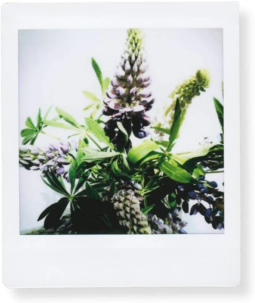 Fotojuosta Fujifilm Instax Square Glossy 20 vnt.