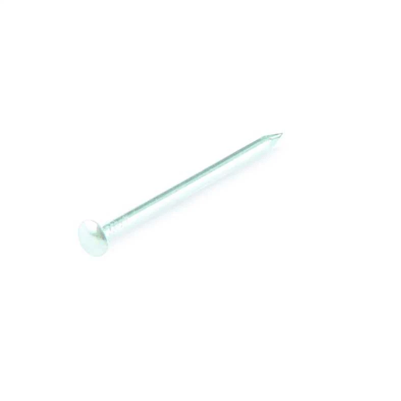 Nagla celtniecības Suki, 20 mm x 1.2 mm, 0.05 kg