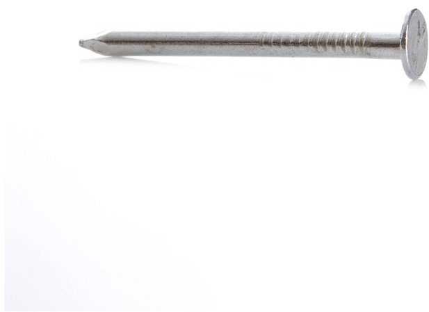 Haushalt Krups CASING NAILS 2.5X32 300 G