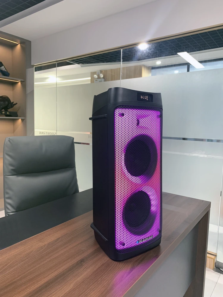 Kolonėlė Blaupunkt PB06DB