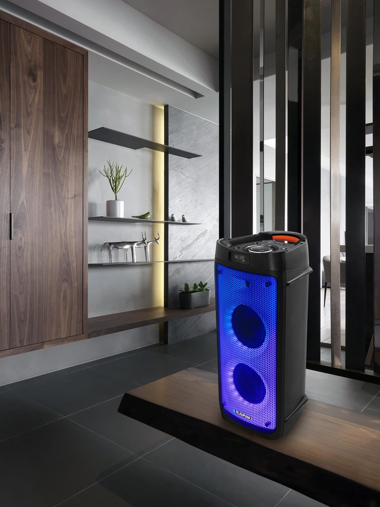 Kolonėlė Blaupunkt PB06DB