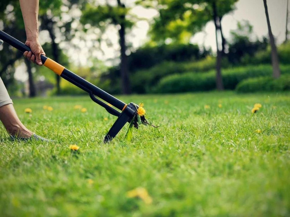 Fiskars Xact piktžolių ravėtuvas (1080409)