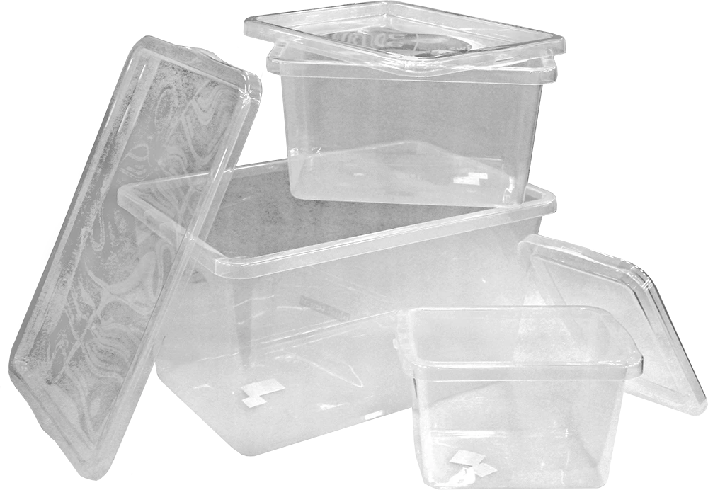 NHG Dėžė su dangčiu Basic box Plast Team 9L permatoma