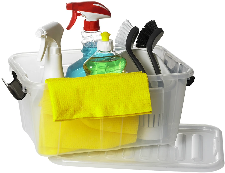 Plast Team Dėžė Home Box, su dangčiu, PPR/PPC, 8 l, 34,5 x 22,5 cm, H 15,8 cm, vnt