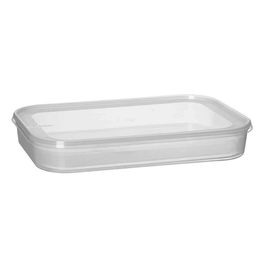 NHG Plastikinė dėžutė maistui užšaldyti Plast Team 1.5l/29.5x19x3.9cm Helsinki