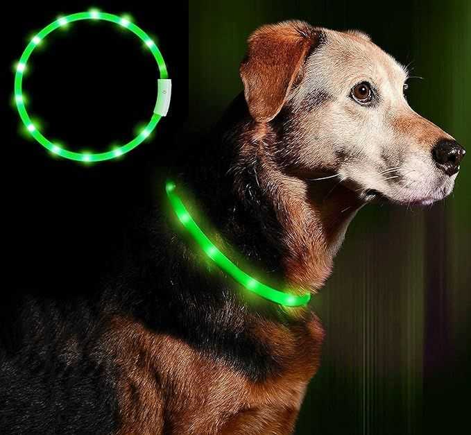 None „Anicoll“ LED Collar šunims ir katėms, žalias