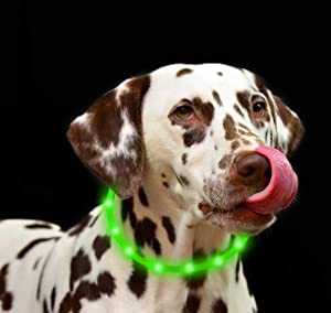 None „Anicoll“ LED Collar šunims ir katėms, žalias