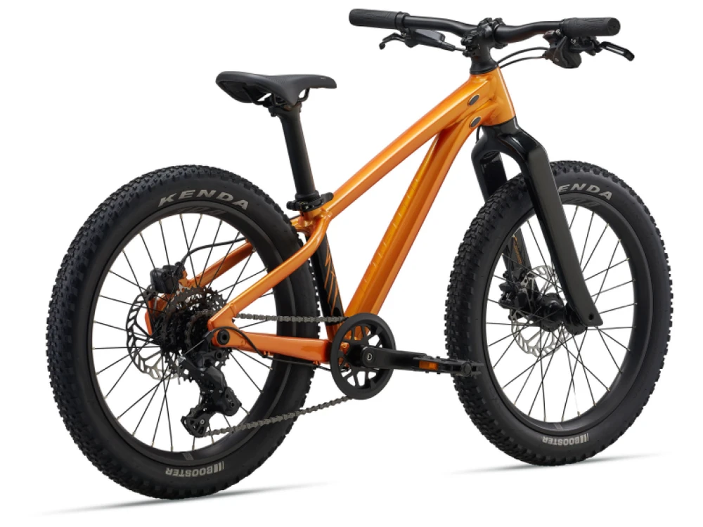 None Vaikiškas dviratis GIANT STP 20, metalo oranžinis