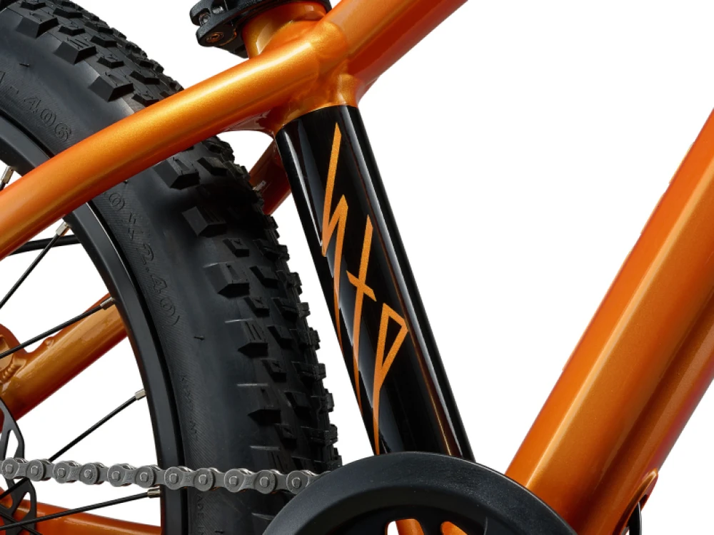 None Vaikiškas dviratis GIANT STP 20, metalo oranžinis