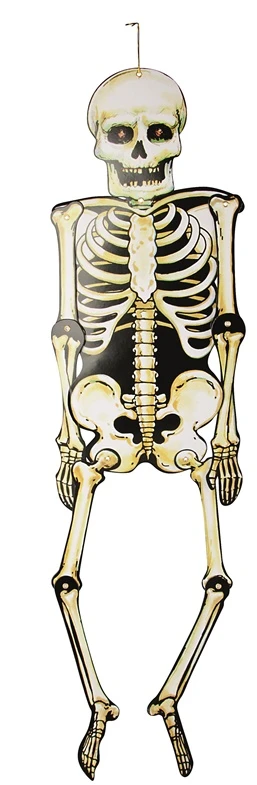 None Nežinomas Dekoracija SKELETAS 747282, geltona, 800 mm