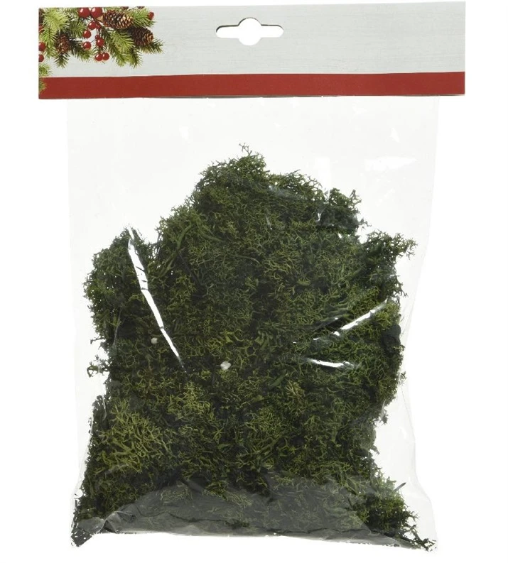 Kwiatydonice Decorative moss. 50g