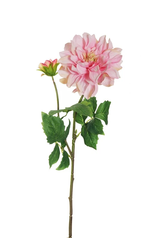 None Nežinomas Dirbtinė gėlė, Dalija rožinė sp., 62 cm