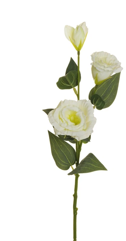 None Nežinomas Dirbtinė gėlė, eustoma, balta sp., 71 cm