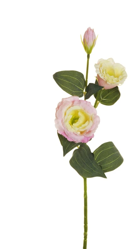 None Nežinomas Dirbtinė gėlė, eustoma, rožinė sp., 71 cm