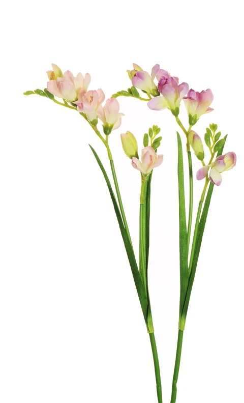 None Nežinomas Dirbtinė gėlė, frezija, rausva sp./violetinė sp., 59 cm