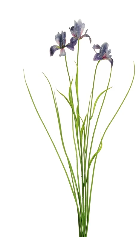 None Nežinomas Dirbtinė gėlė Irisas, mėlyna sp., 72 cm