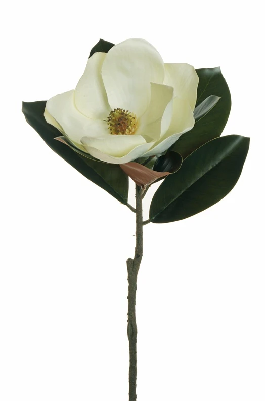 None Nežinomas Dirbtinė gėlė, magnolija, balta sp., 71 cm