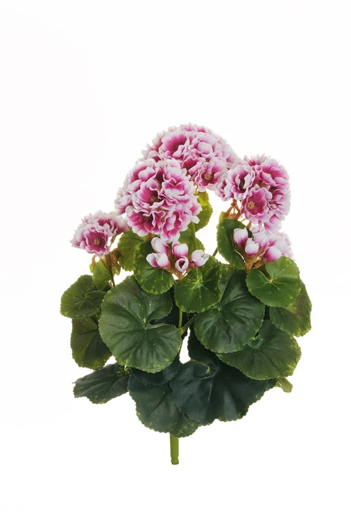 None Nežinomas Dirbtinė gėlė Pelargonija, violetinė sp., 36 cm