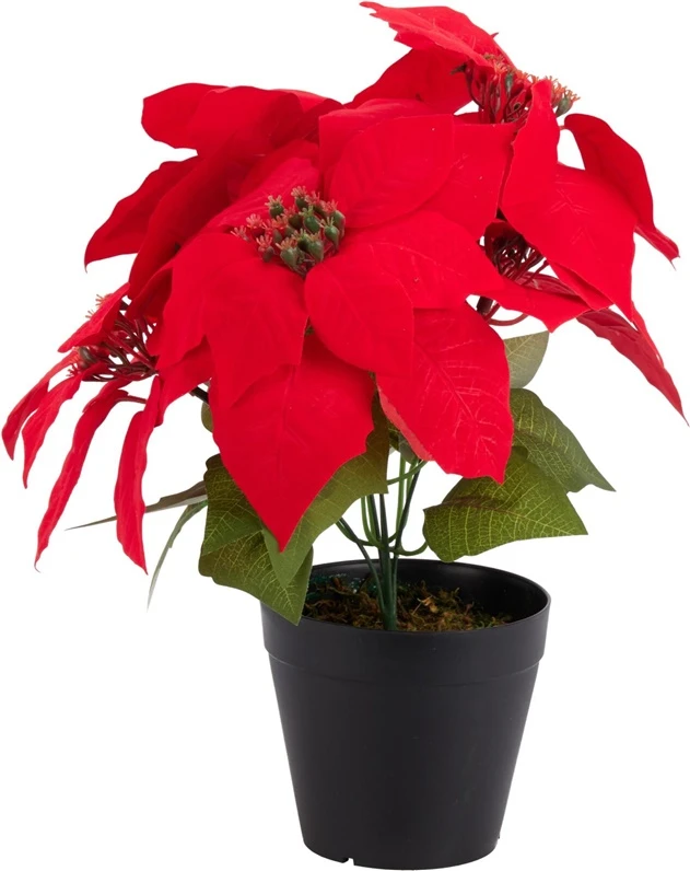 None Nežinomas Dirbtinė gėlė, puansetija, 30 cm